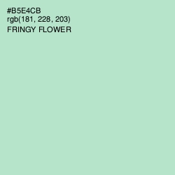 #B5E4CB - Fringy Flower Color Image